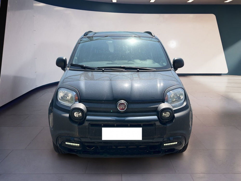 Fiat Panda Cross usata a Torino