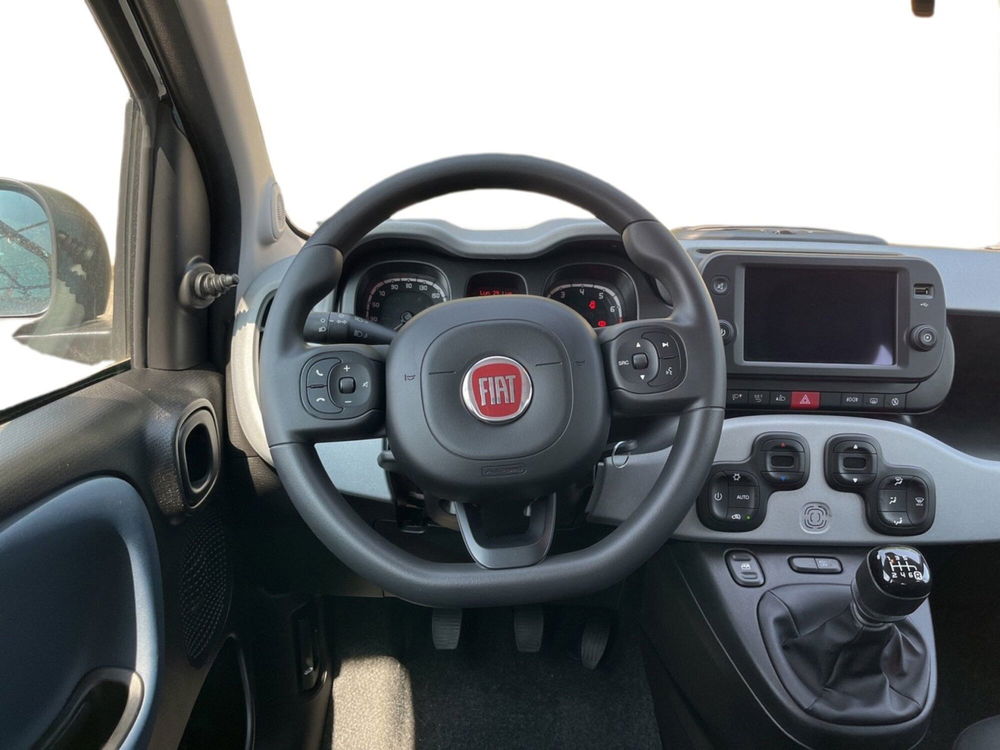 Fiat Panda Cross usata a Torino (11)