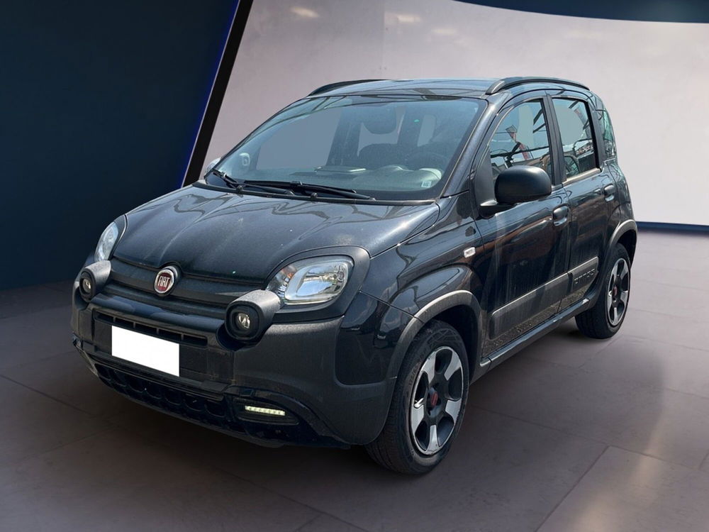 Fiat Panda Cross usata a Torino (2)