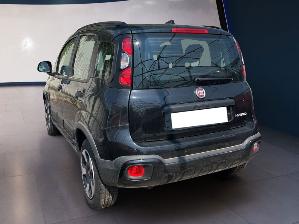 Fiat Panda Cross usata a Torino (4)