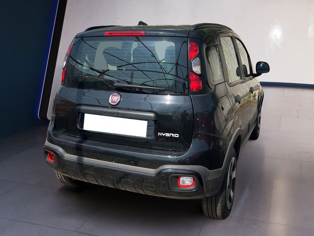 Fiat Panda Cross usata a Torino (5)