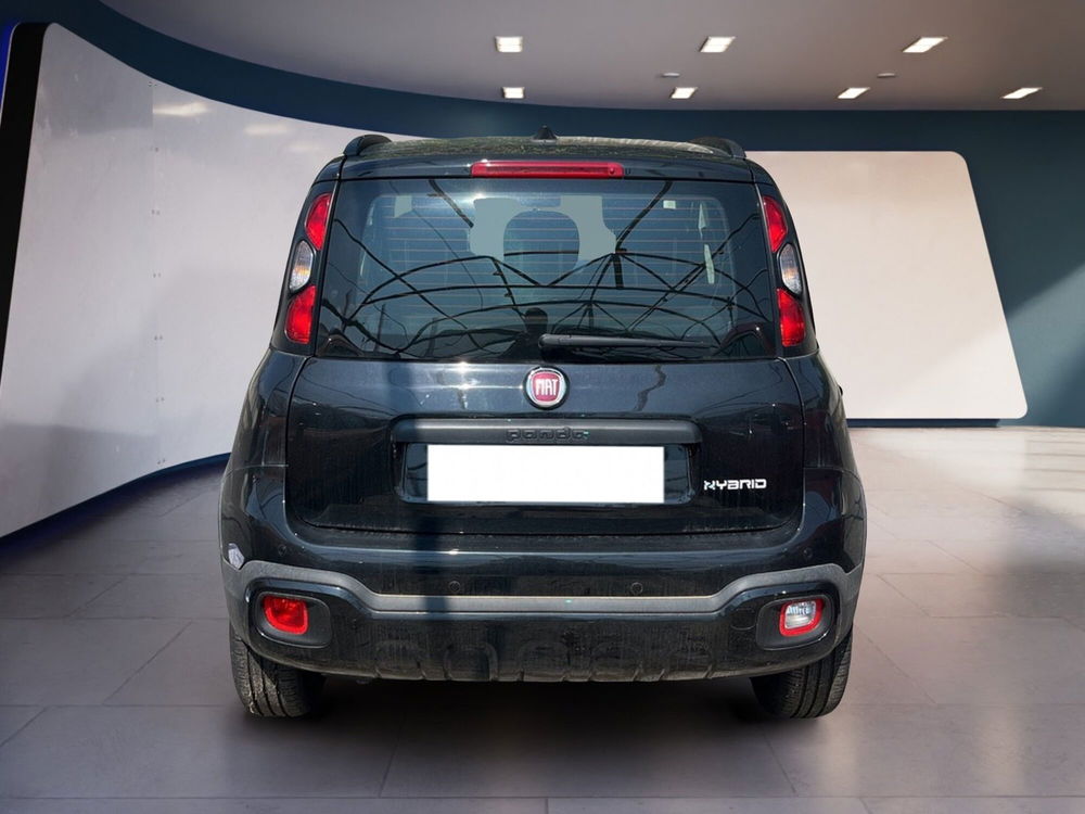 Fiat Panda Cross usata a Torino (6)