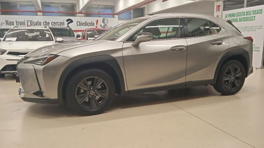 Lexus UX usata a Torino (2)