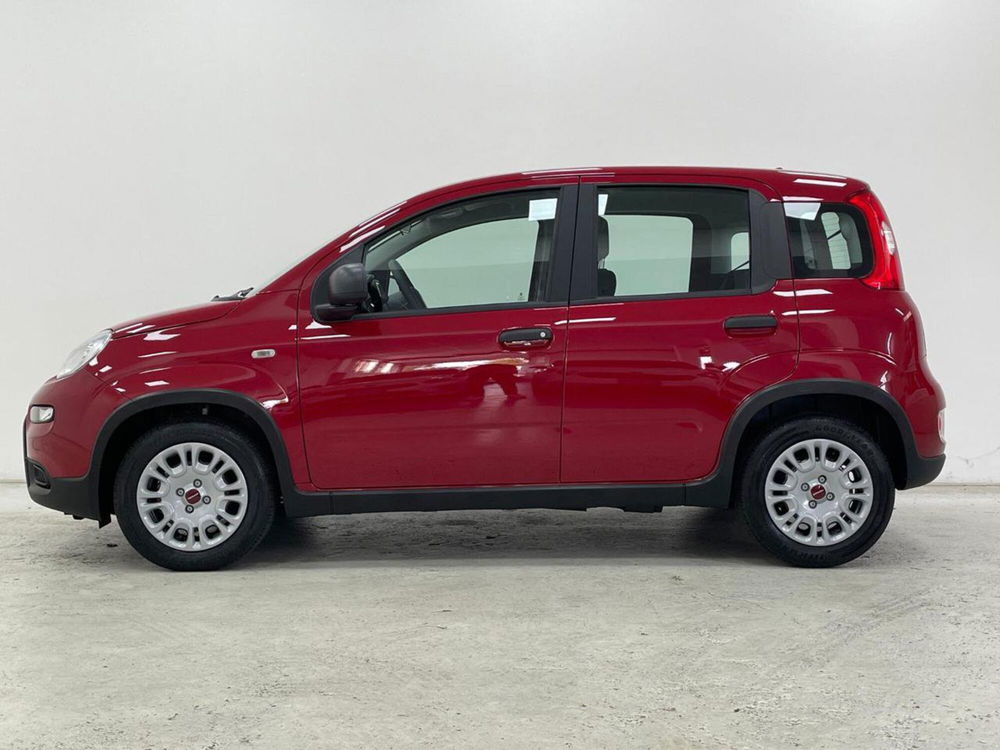 Fiat Panda nuova a Como (8)