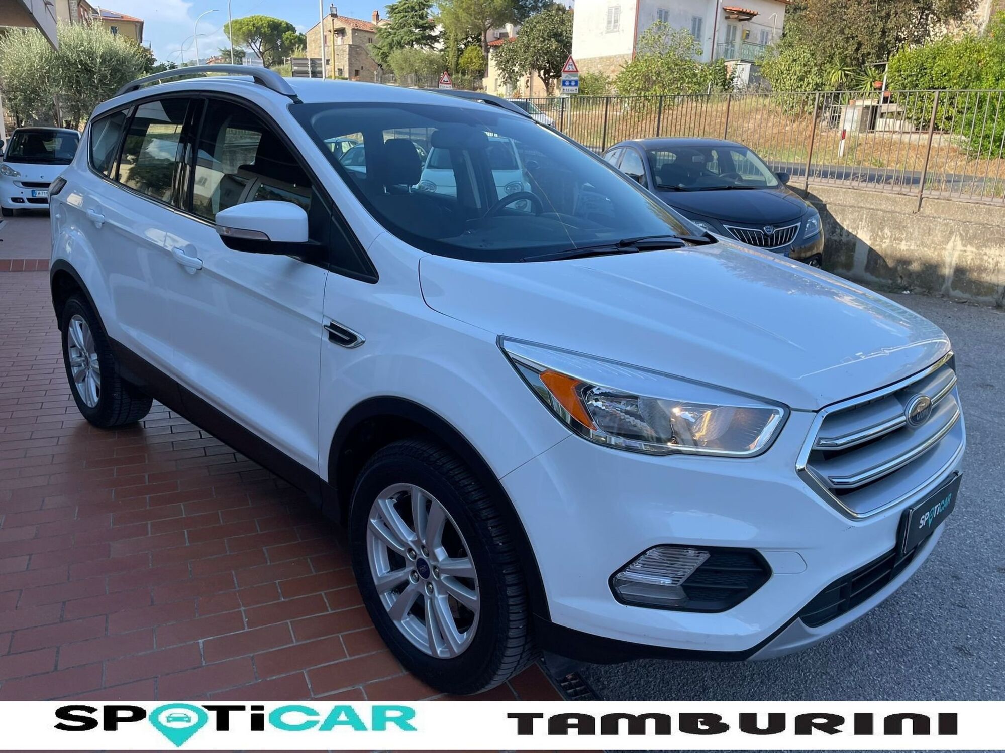 Ford Kuga 1.5 TDCI 120 CV S&amp;S 2WD Powershift Titanium Business del 2017 usata a Cortona