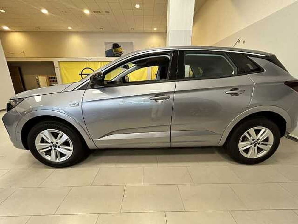 Opel Grandland X nuova a Siena (4)