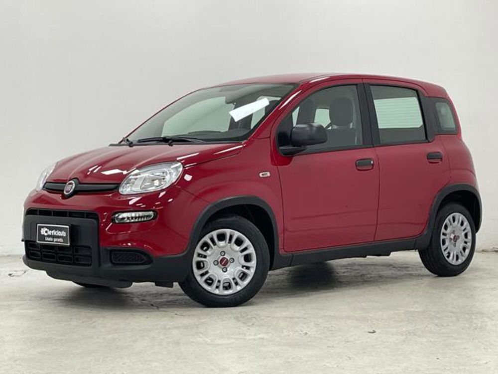 Fiat Panda nuova a Como