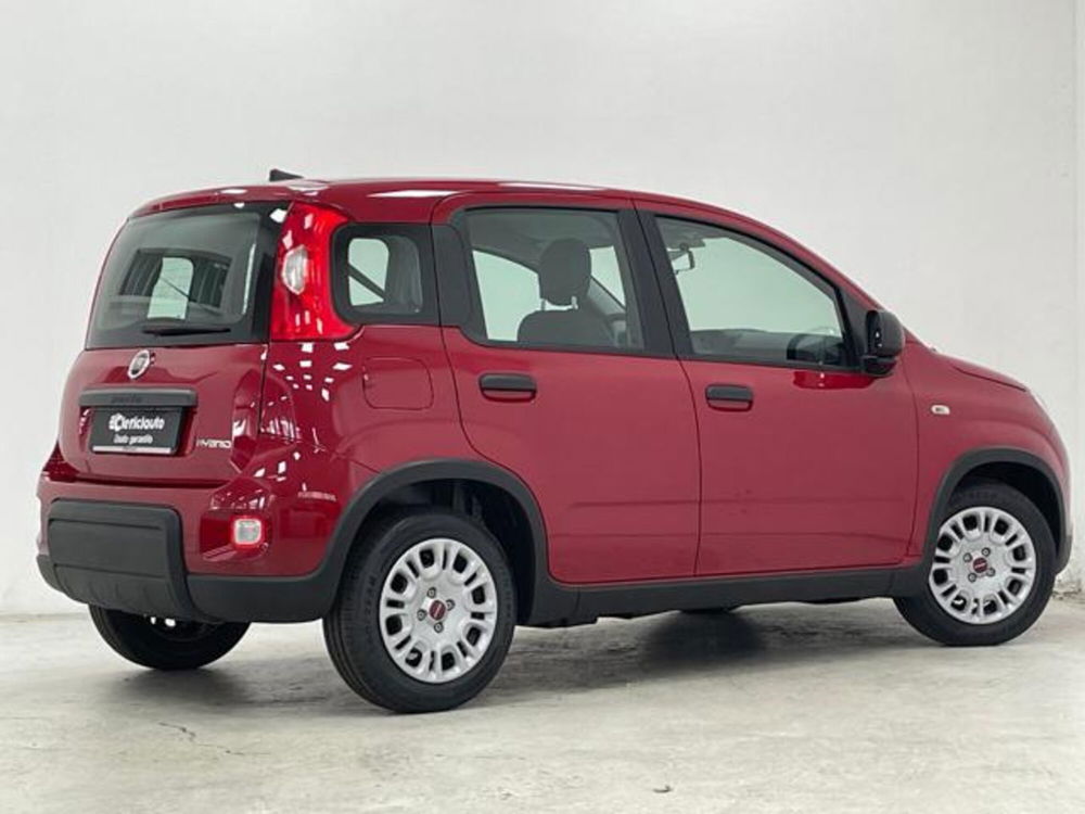 Fiat Panda nuova a Como (2)