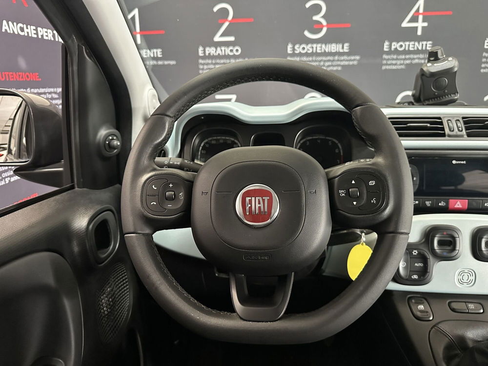 Fiat Panda usata a Viterbo (12)