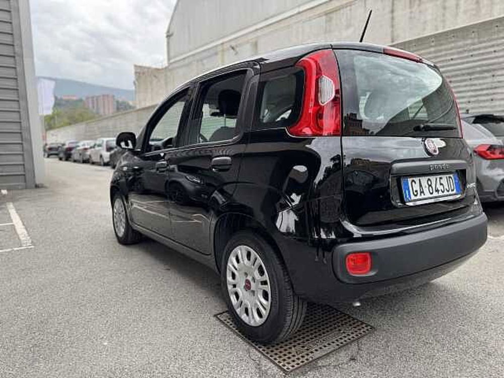 Fiat Panda usata a Genova (2)