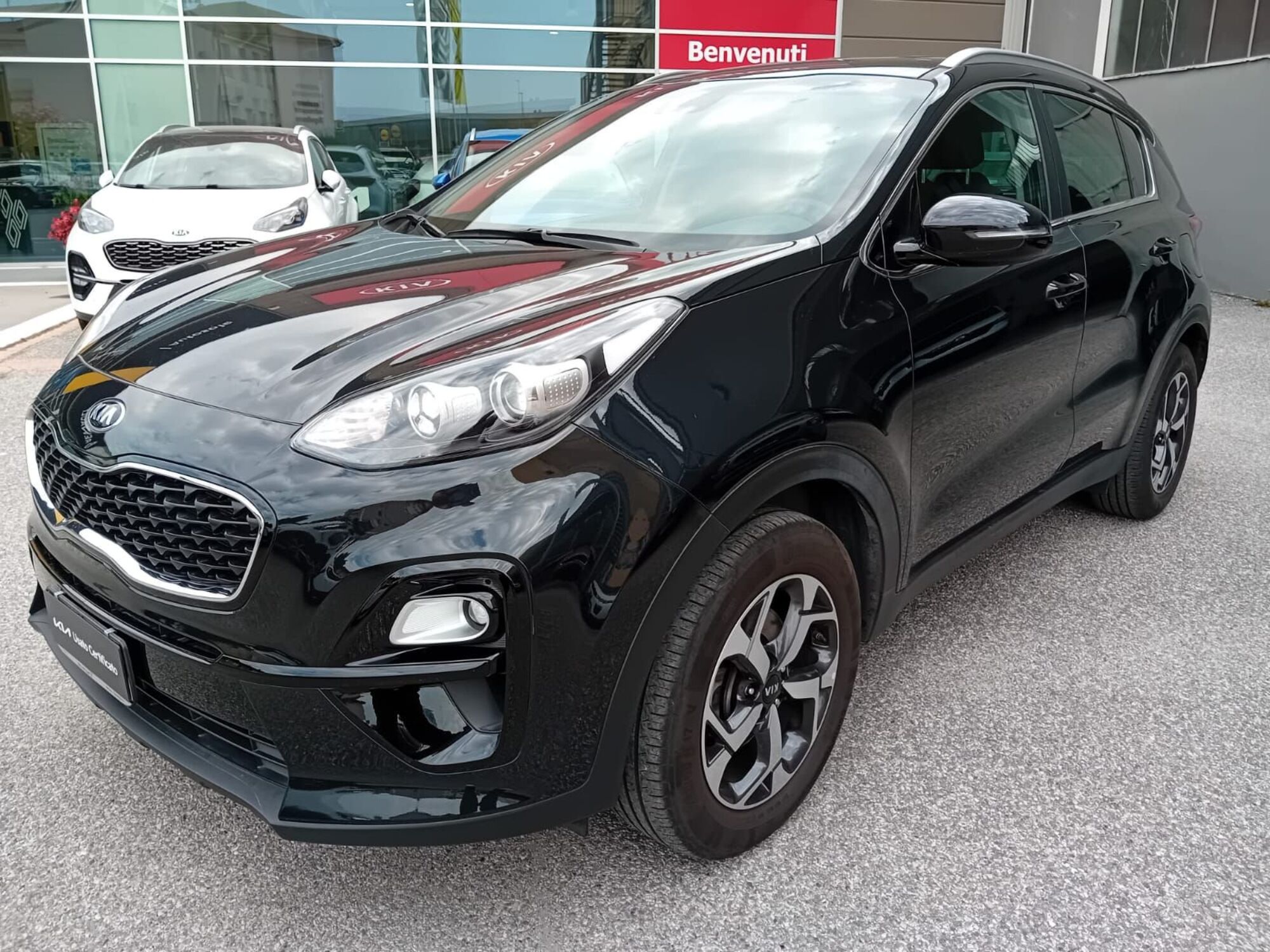 Kia Sportage 1.6 GDI 2WD Business Class  del 2019 usata a Verona