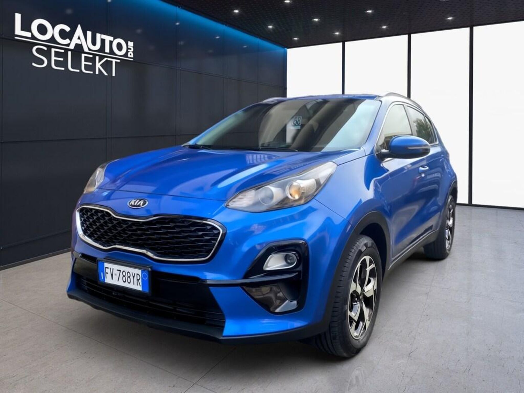 Kia Sportage 1.6 GDI 2WD Business Class  del 2019 usata a Torino