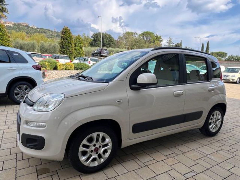 Fiat Panda usata a Arezzo