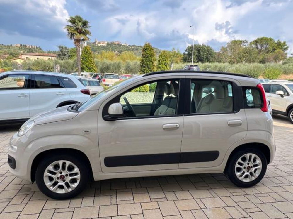 Fiat Panda usata a Arezzo (8)