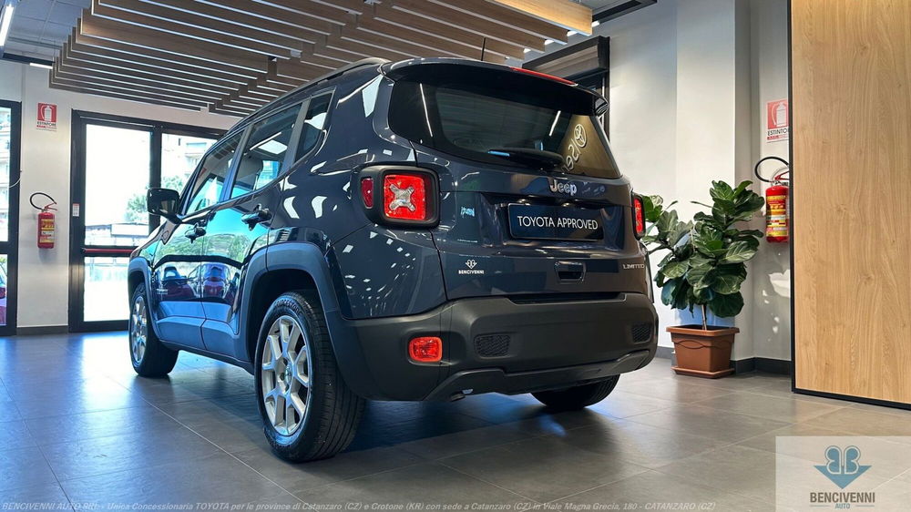 Jeep Renegade usata a Catanzaro (20)