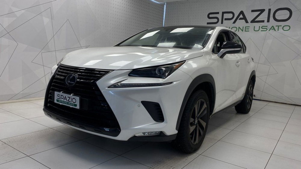 Lexus NX usata a Torino (3)