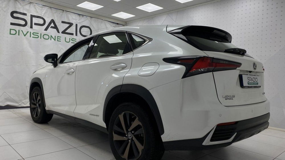 Lexus NX usata a Torino (4)