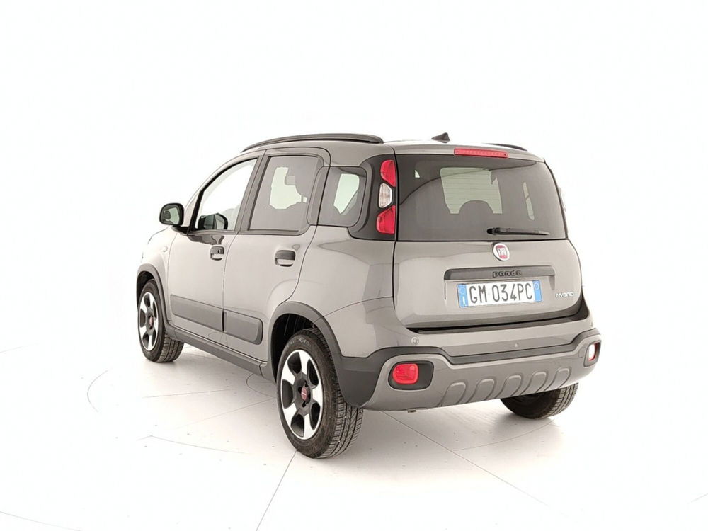 Fiat Panda Cross usata a Caserta (4)