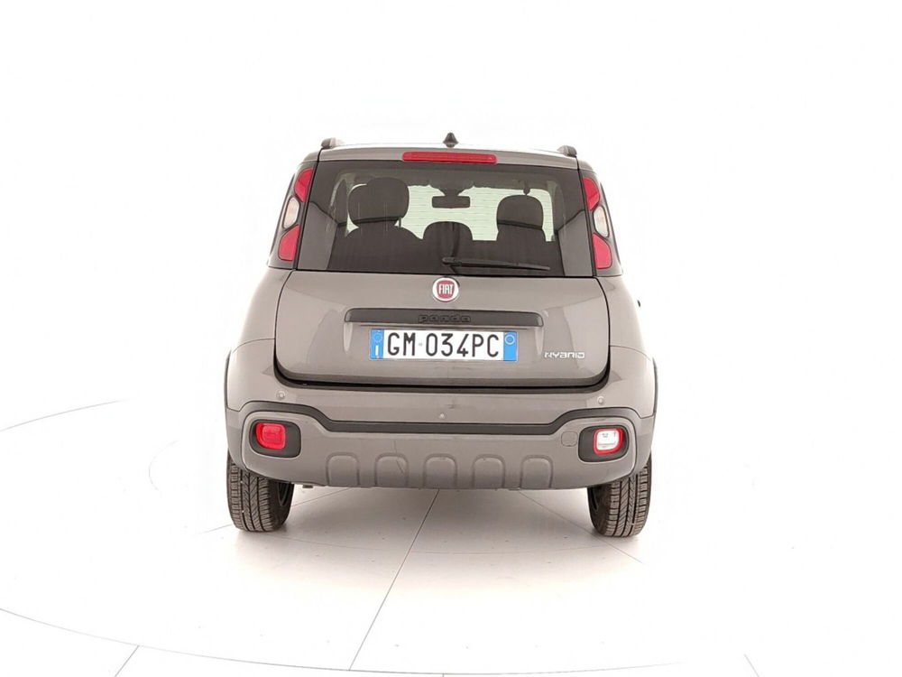 Fiat Panda Cross usata a Caserta (5)