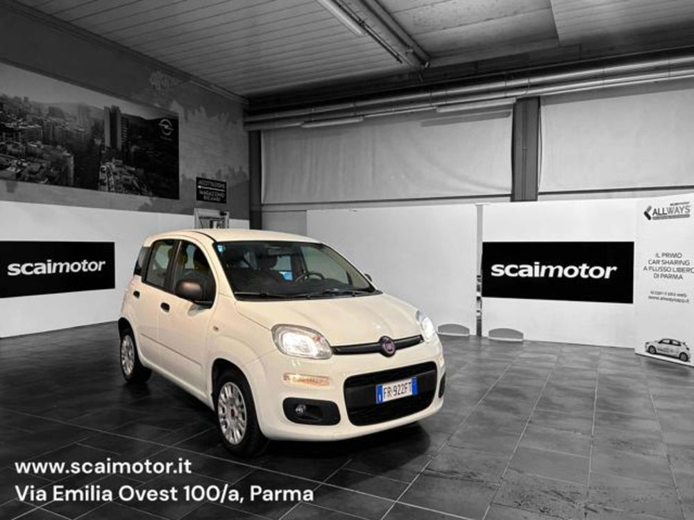 Fiat Panda usata a Parma