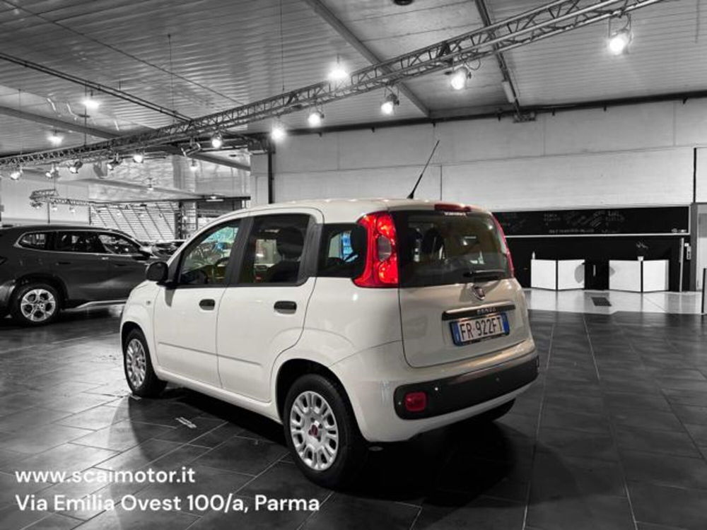 Fiat Panda usata a Parma (4)