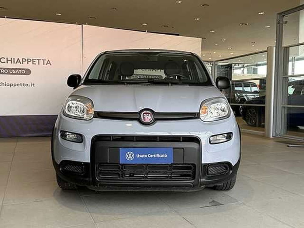 Fiat Panda usata a Cosenza (2)