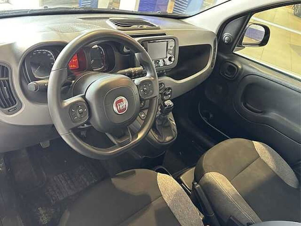 Fiat Panda usata a Cosenza (8)