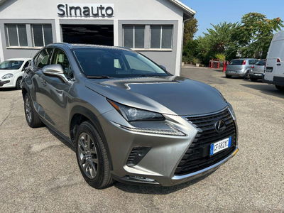 Lexus NX Hybrid 4WD Premium del 2021 usata a Casalgrande