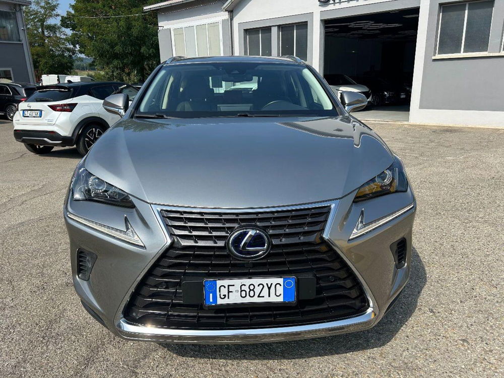 Lexus NX usata a Reggio Emilia (2)