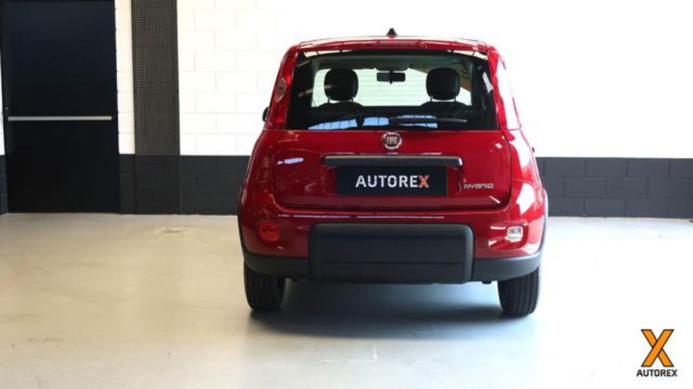 Fiat Panda nuova a Varese (4)