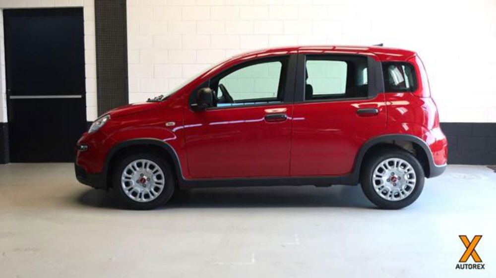 Fiat Panda nuova a Varese (5)