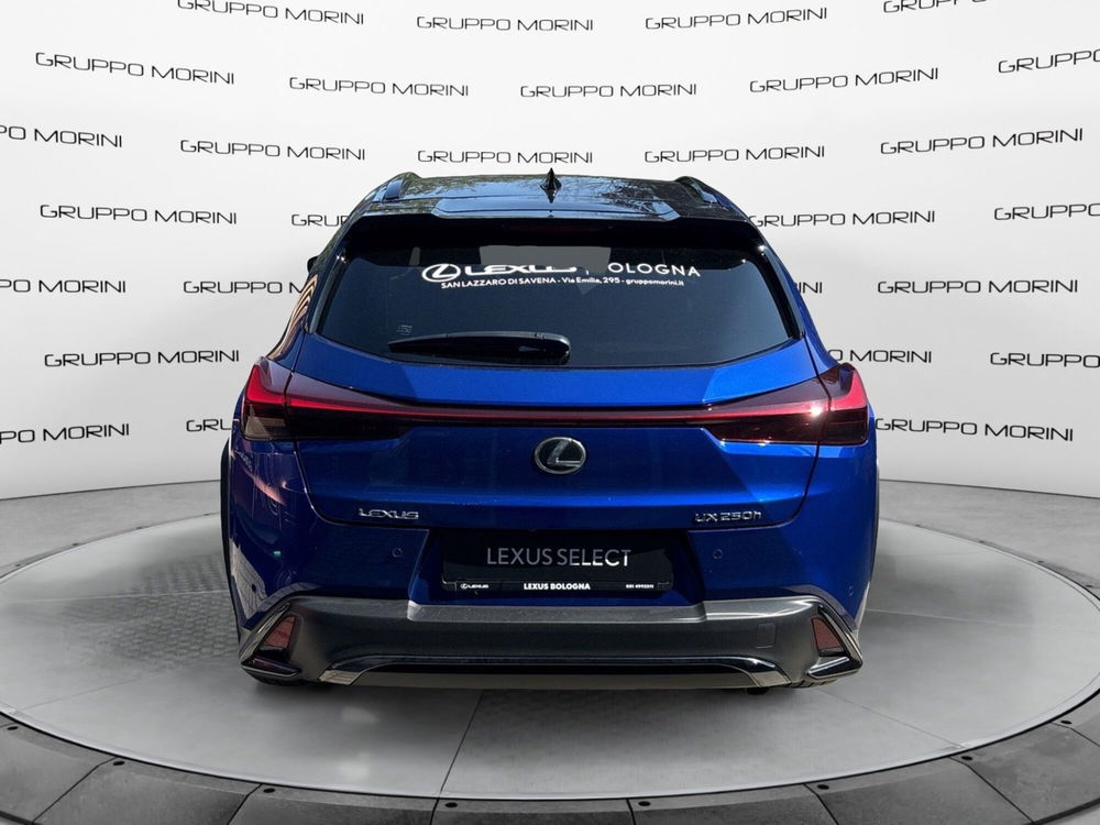 Lexus UX usata a Bologna (4)