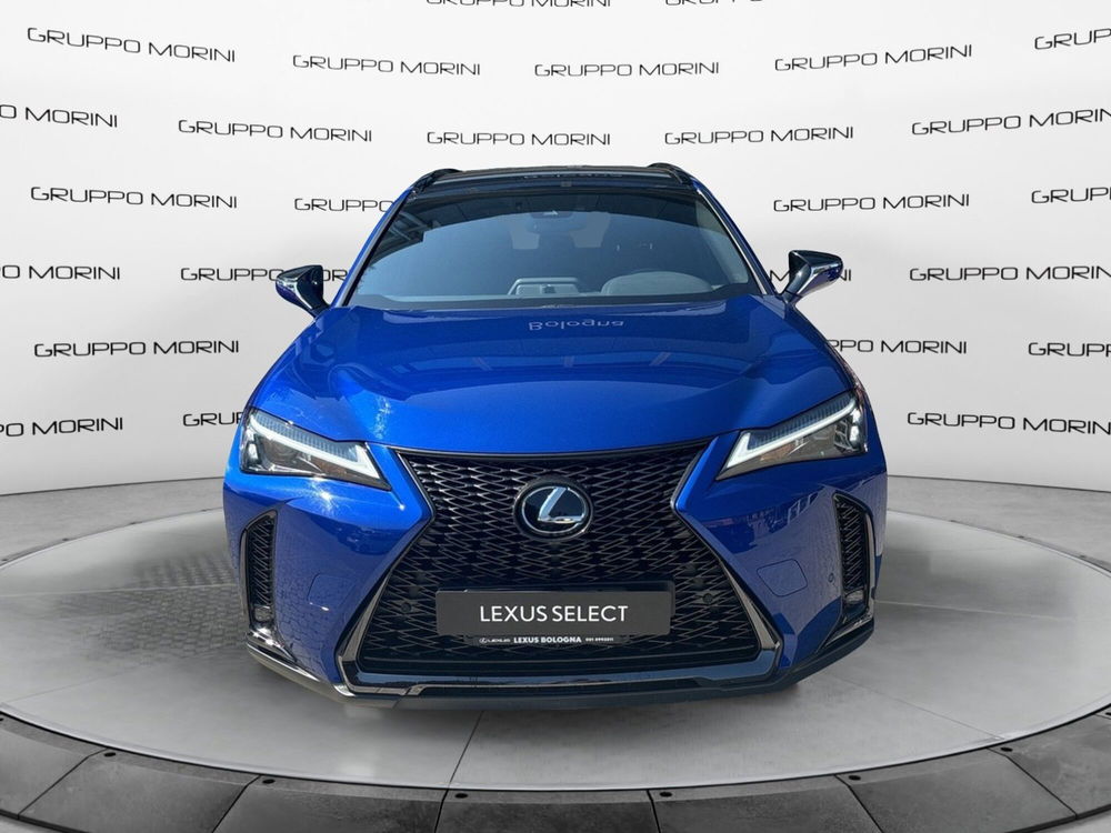 Lexus UX usata a Bologna (5)