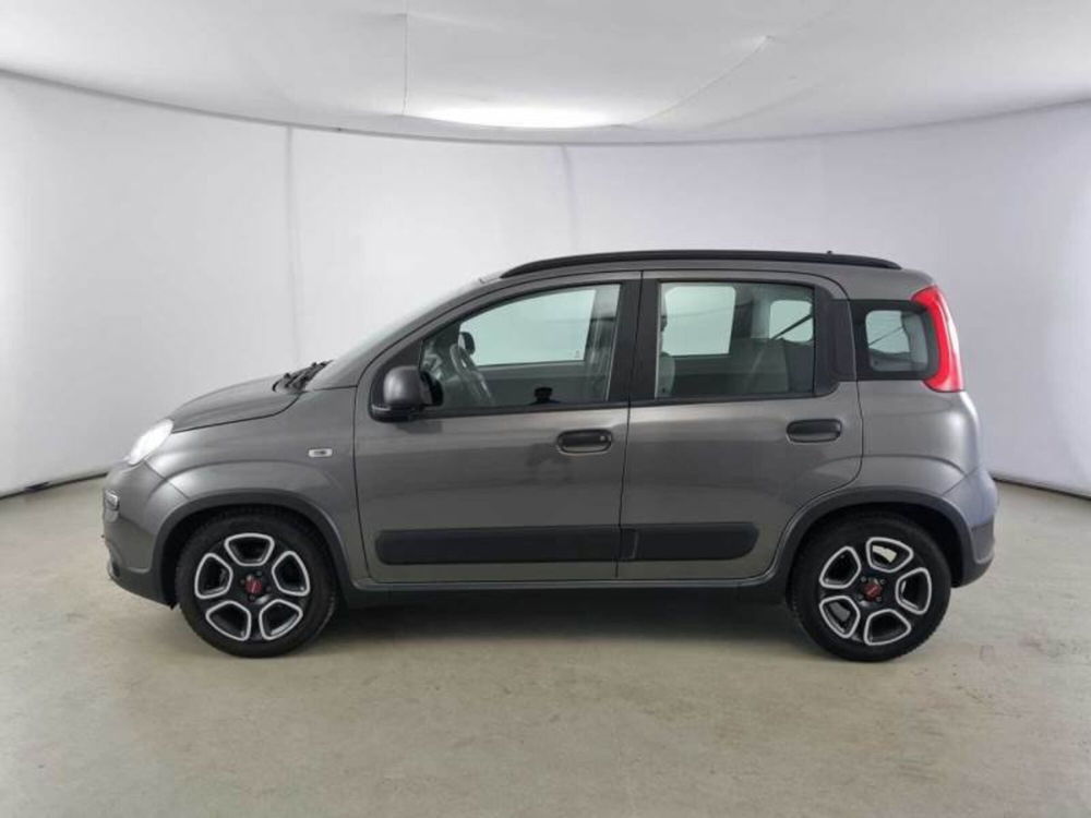 Fiat Panda usata a Arezzo (3)