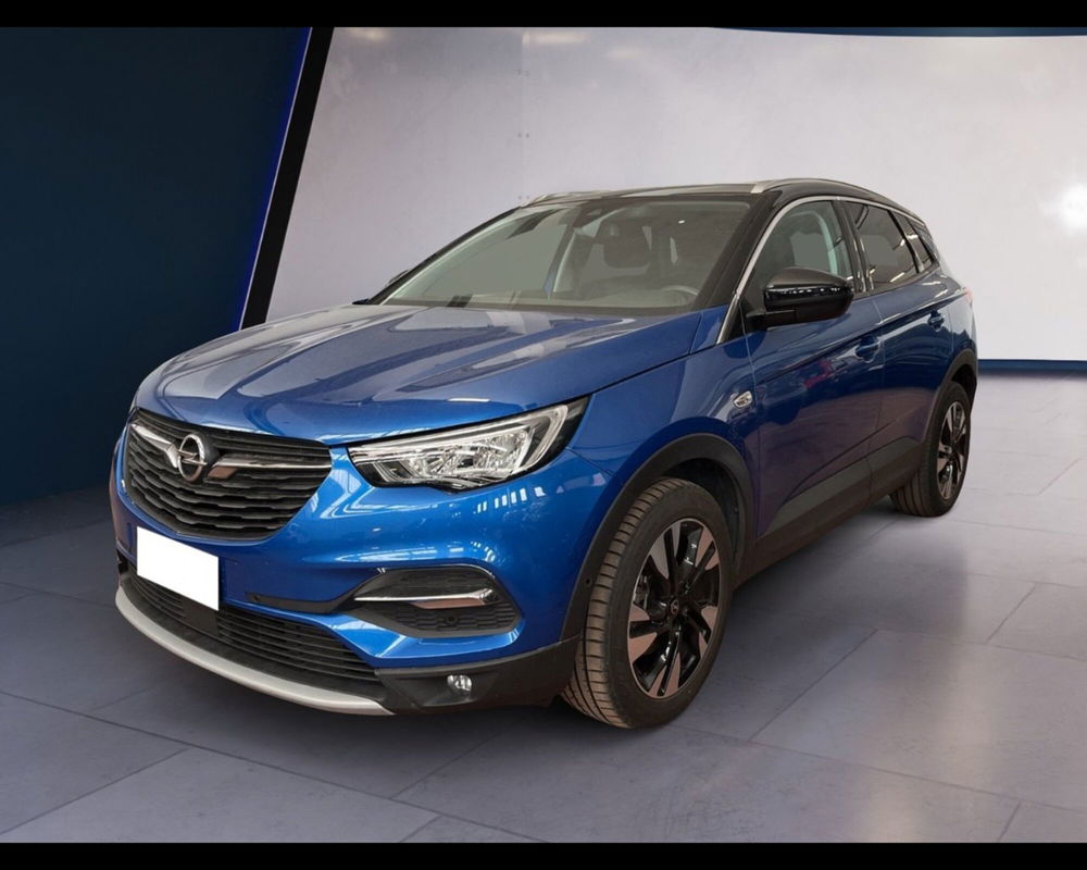 Opel Grandland X usata a Torino (6)