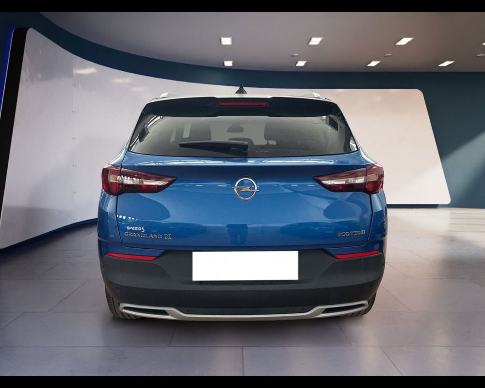 Opel Grandland X usata a Torino (8)