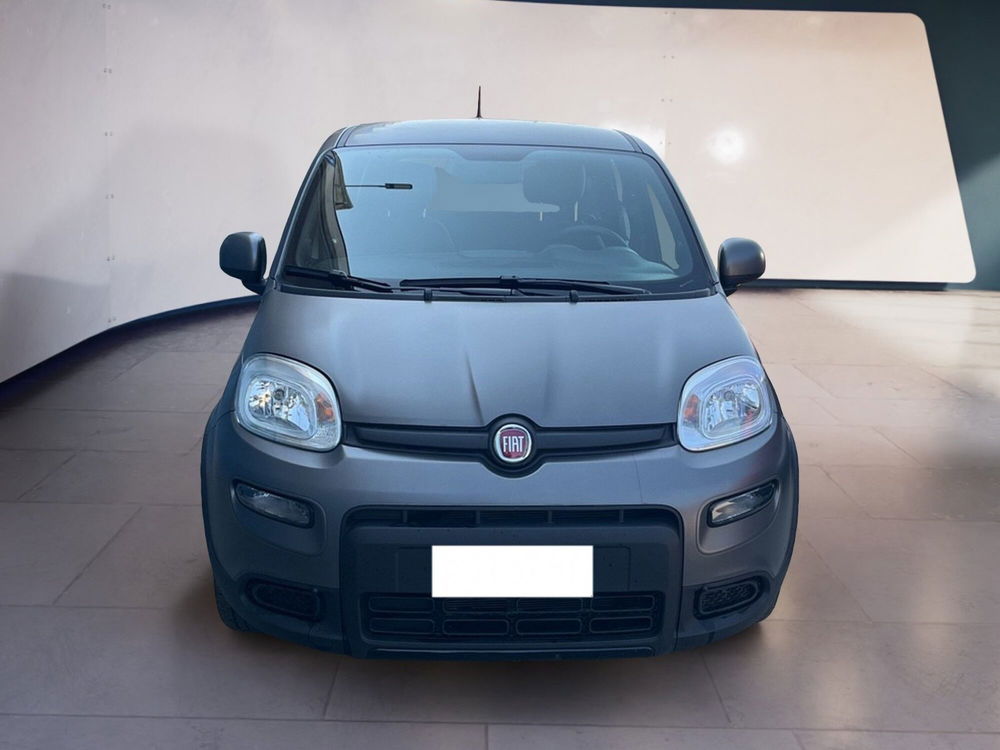 Fiat Panda usata a Torino