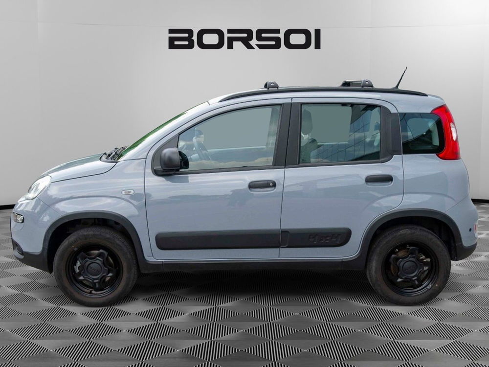 Fiat Panda Cross usata a Treviso (2)