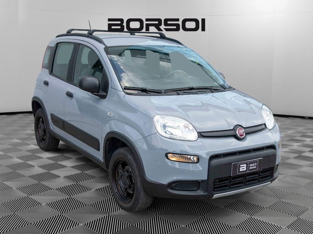 Fiat Panda Cross usata a Treviso (7)