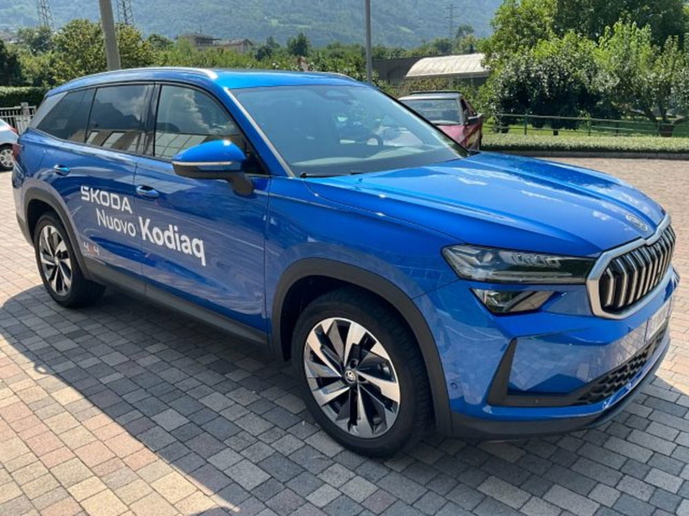 Skoda Kodiaq usata a Sondrio (10)