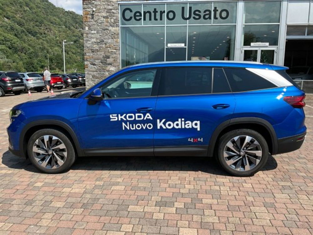 Skoda Kodiaq usata a Sondrio (2)