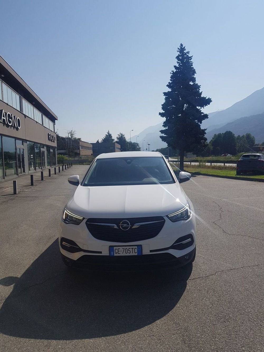 Opel Grandland X usata a Aosta (3)