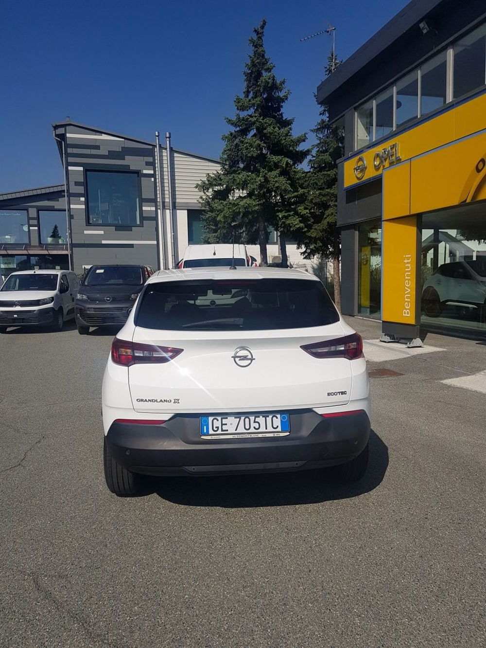 Opel Grandland X usata a Aosta (6)