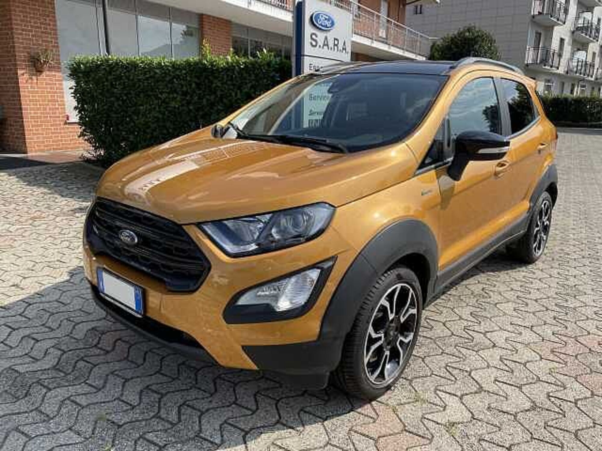 Ford EcoSport 1.0 EcoBoost 125 CV Start&amp;Stop Active del 2021 usata a Airasca