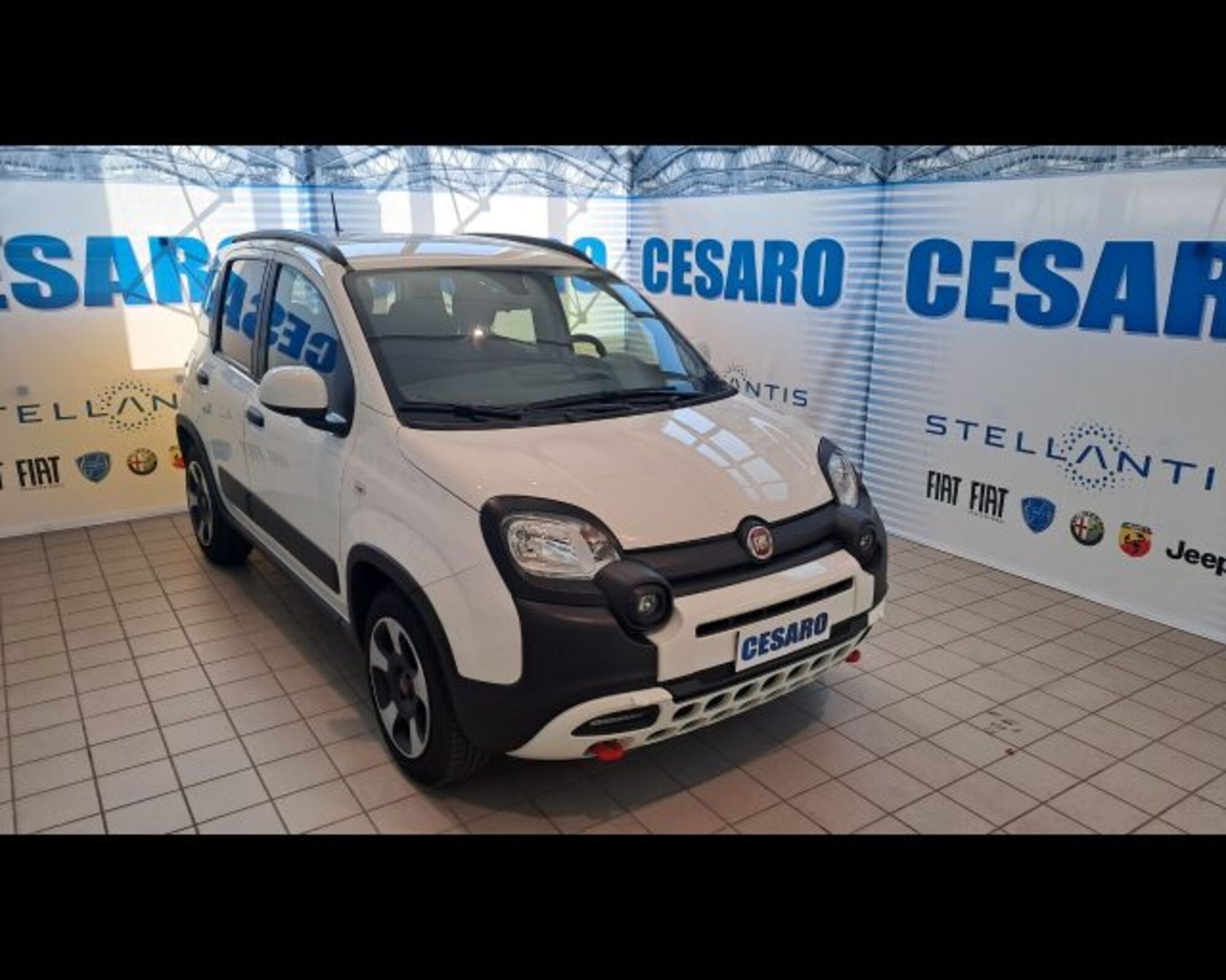 Fiat Panda Cross 1.0 firefly hybrid Cross s&amp;s 70cv 5p.ti del 2023 usata a Pont Saint Martin