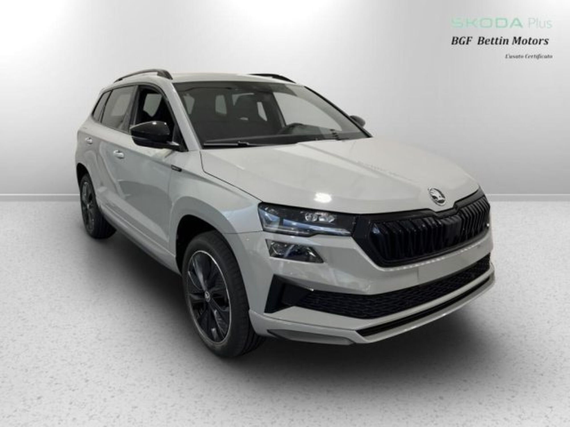 Skoda Karoq 1.5 tsi Sportline dsg nuova a Piove di Sacco