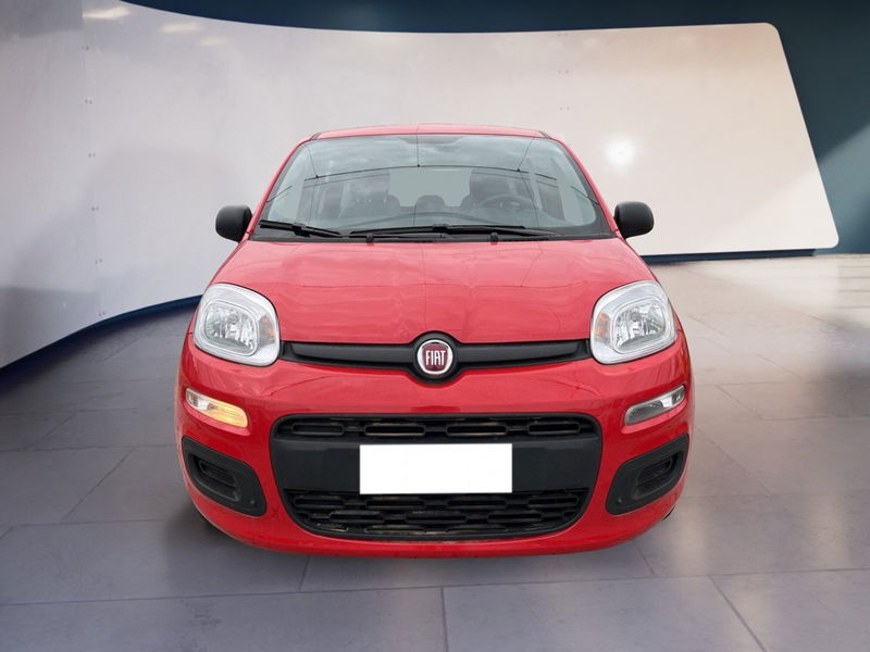 Fiat Panda 1.0 firefly hybrid s&amp;s 70cv 5p.ti del 2021 usata a Torino