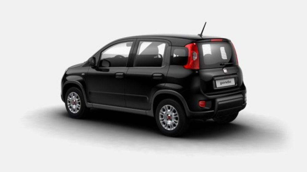 Fiat Panda nuova a Biella (2)