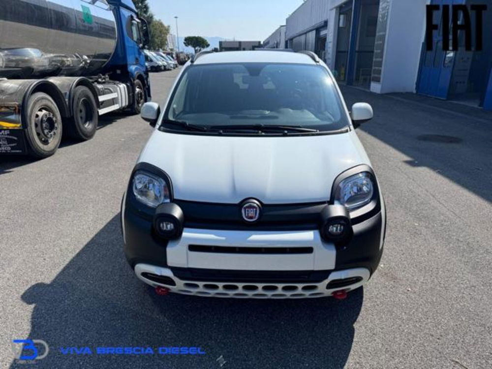 Fiat Panda Cross nuova a Brescia (2)