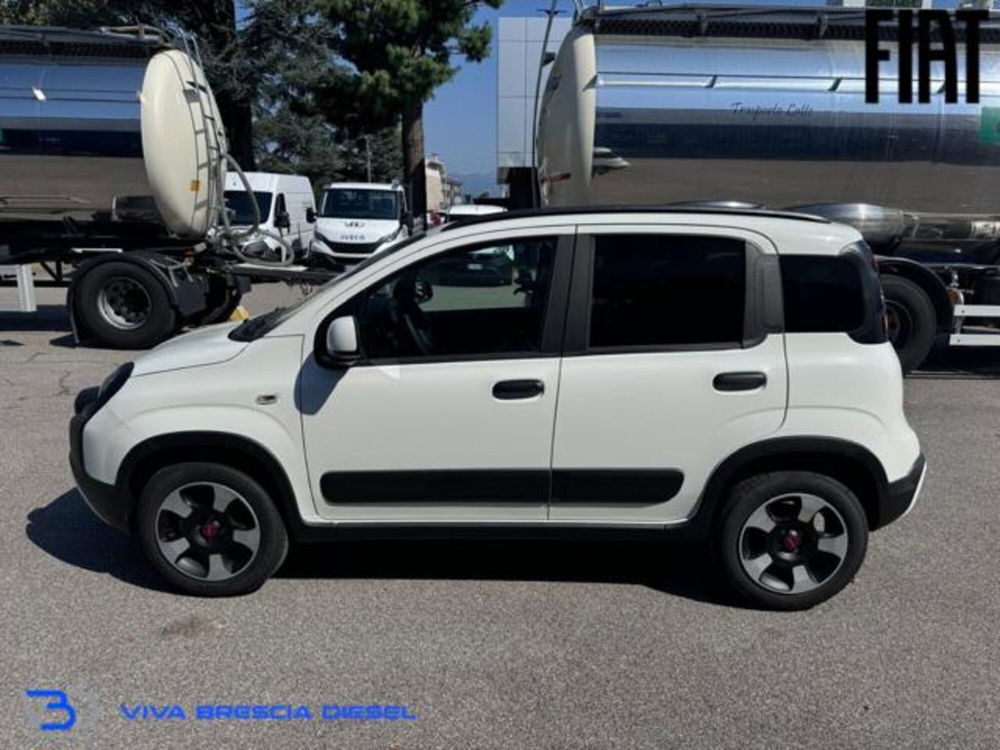 Fiat Panda Cross nuova a Brescia (4)